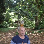 olivier, 66 ans de Le sentier